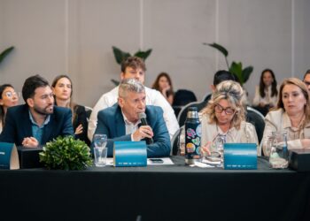 Entre Ríos puso en agenda nacional la revisión de la tarifa eléctrica para el sector turístico