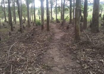 SE CONTINÚA LA LIMPIEZA PARA LA 7° EDICIÓN DEL DESAFÍO KM 248