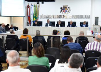 Lauritto a cargo, interinamente, del Comité para el Desarrollo de la Cuenca del Río Uruguay