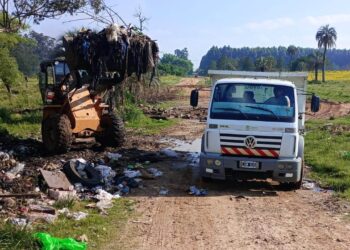 TRABAJOS DE LIMPIEZA Y ERRADICACIÓN DE MICROBASURALES