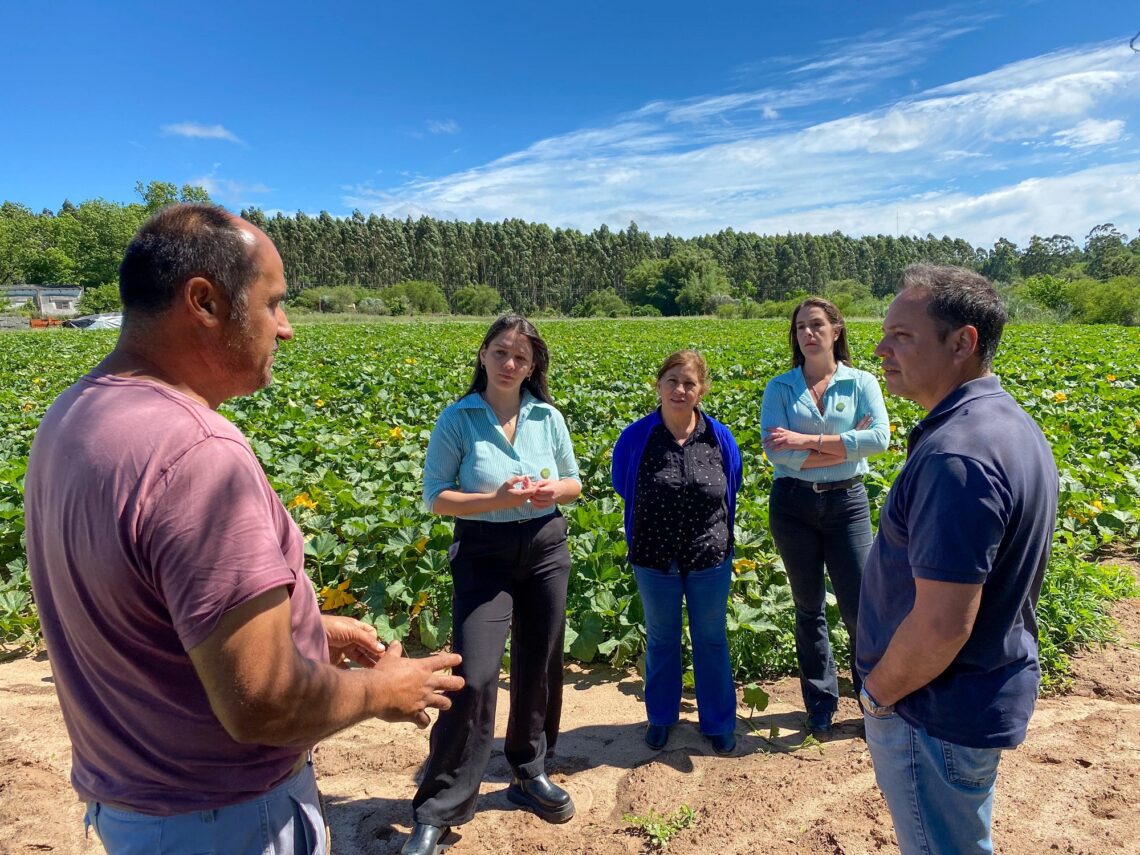 PRODUCTORES AGROECOLÓGICOS OBTUVIERON EL SELLO MUNICIPAL