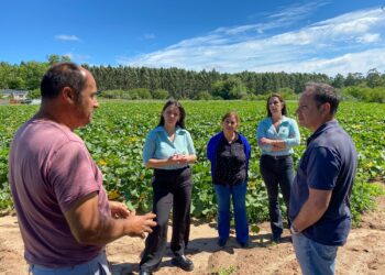 PRODUCTORES AGROECOLÓGICOS OBTUVIERON EL SELLO MUNICIPAL