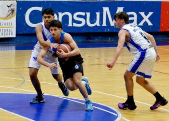 Tiempo de semis para Ferro