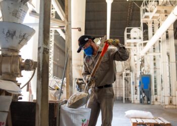 Empleadores deberán registrarse digitalmente en la provincia