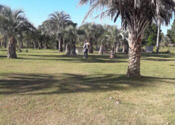 Mejoras y mantenimiento del camping de ATE