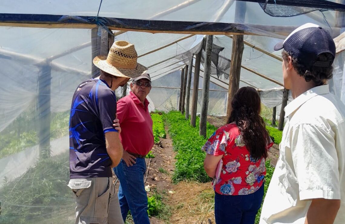 CONTINÚA EL RELEVAMIENTO DE PRODUCTORES LOCALES