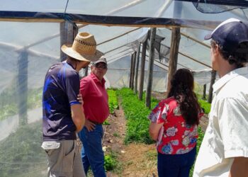 CONTINÚA EL RELEVAMIENTO DE PRODUCTORES LOCALES