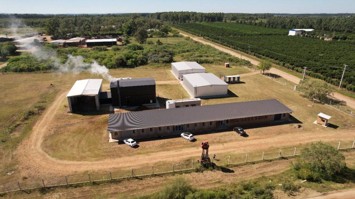 El Intendente Bravo encabezó el acto de asunción del Director de Desarrollo Forestal y el Centro Foresto Industrial Carlos Bachmann