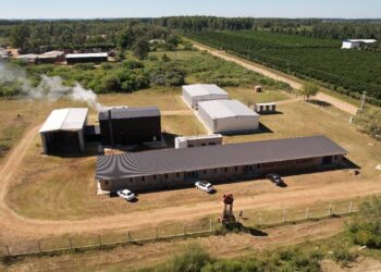 El Intendente Bravo encabezó el acto de asunción del Director de Desarrollo Forestal y el Centro Foresto Industrial Carlos Bachmann