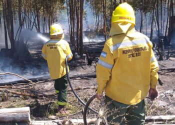 Altas temperaturas y riesgo de incendios rurales: Alejandra Guido resalta la importancia de la prevención y el trabajo conjunto