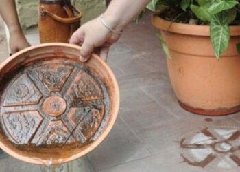 DENGUE: SE RECUERDA LA IMPORTANCIA DE LA LIMPIEZA Y EVITAR ACUMULACIÓN DE AGUA