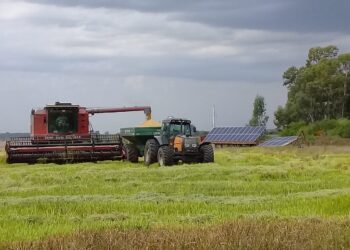 Arranca este martes una capacitación sobre interacciones económicas entre sectores productivos