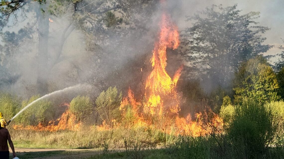 Incendio en Estancia Grande: Intendente Goldin Destaca la Rápida Respuesta y el Trabajo en Equipo