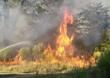 Incendio en Estancia Grande: Intendente Goldin Destaca la Rápida Respuesta y el Trabajo en Equipo