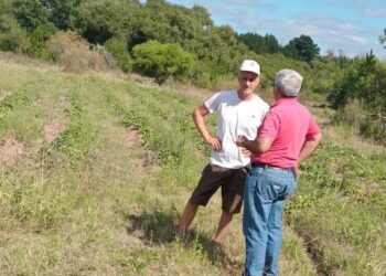 LA MUNICIPALIDAD DE CONCORDIA CONTINÚA ACOMPAÑANDO A LOS PRODUCTORES LOCALES