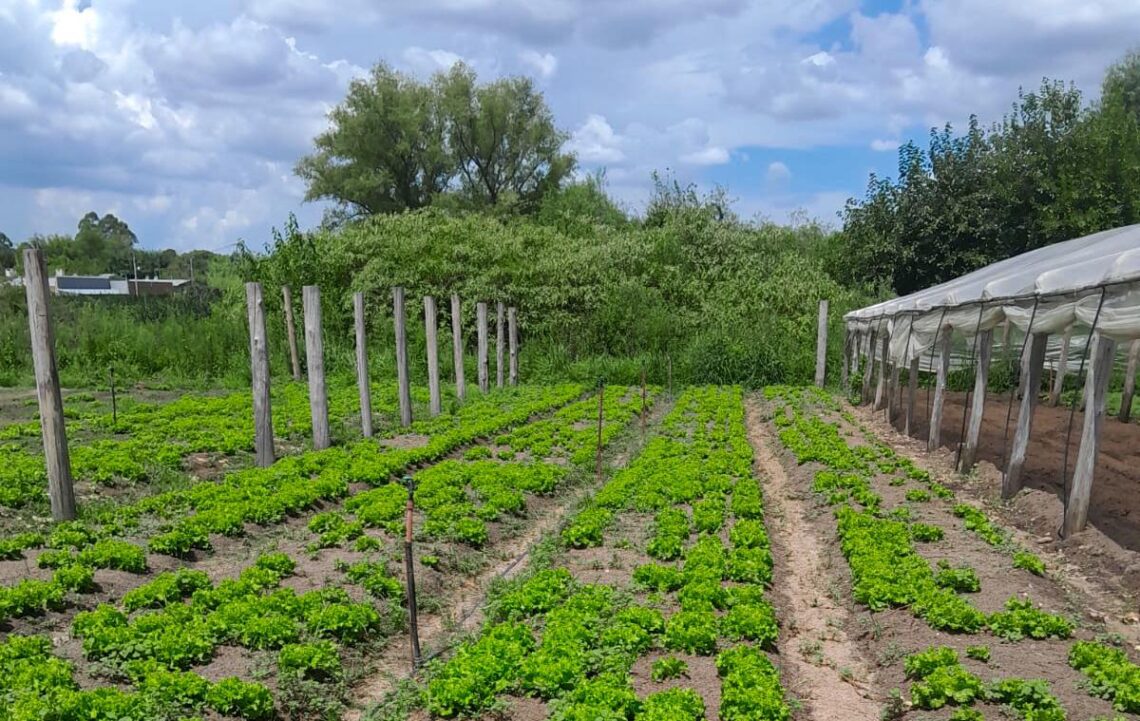 LA MUNICIPALIDAD DE CONCORDIA REFUERZA EL APOYO A LOS PRODUCTORES LOCALES