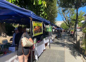 FERIA DE EMPRENDEDORES DE LA ECONOMÍA SOCIAL