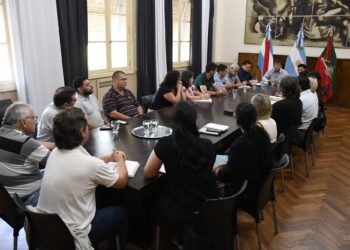 MESA LOCAL DE DESARROLLO HUMANO: LA COMISIÓN DE CONSUMOS PROBLEMÁTICOS DIAGRAMA UN PLAN DE ACCIÓN