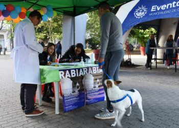 JORNADA DE VACUNACIÓN ANTIRRÁBICA EN LA PLAZA 25 DE MAYO