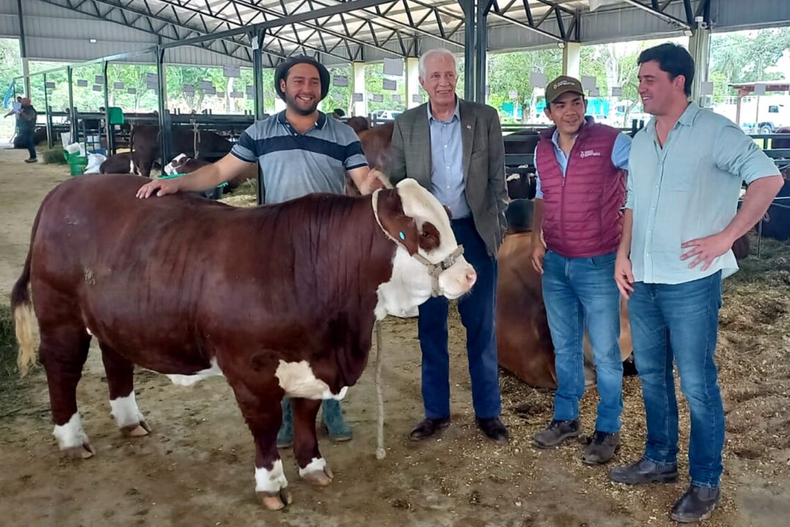 Destacada presencia de cabañeros entrerrianos en muestras ganaderas nacionales
