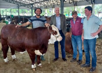 Destacada presencia de cabañeros entrerrianos en muestras ganaderas nacionales