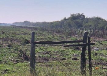 ACCIONES DE MONITOREO