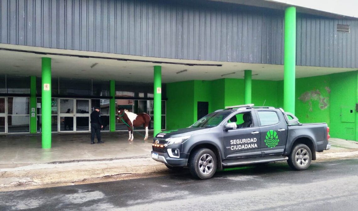 RETENCIÓN DE EQUINO QUE SE ENCONTRABA SUELTO EN LA VÍA PÚBLICA