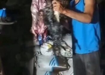 OTRA MASACRE DE FAUNA EN ENTRE RÍOS: CAZADORES MATAN DECENAS DE VIZCACHAS Y LO EXHIBEN ORGULLOSOS EN SUS REDES SOCIALES