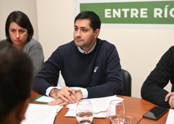 La comisión de Salud abordó la necesidad de regular las camas solares