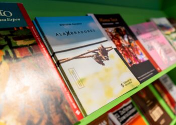 Se conocieron las obras que concursan por el Premio Literario Fray Mocho