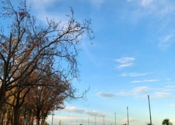 COMUNICADO DEL COMITÉ DE OPERACIONES DE EMERGENCIAS