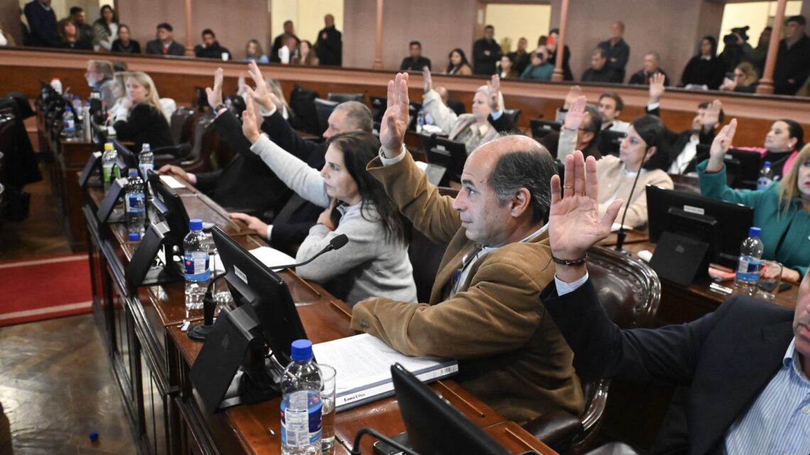 Diputados convirtió en ley el proyecto de creación de la OSER
