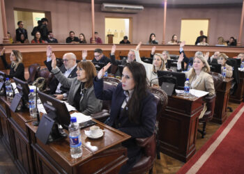 Se aprobó la adhesión a la Ley Olimpia sobre violencia de género digital