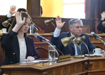 Aguilar explicó cómo seguirá el bloque libertario y adelantó el primer proyecto que presentará en el Concejo