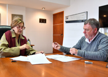 Trabajan en la creación de una Planta Campamentil en Seguí