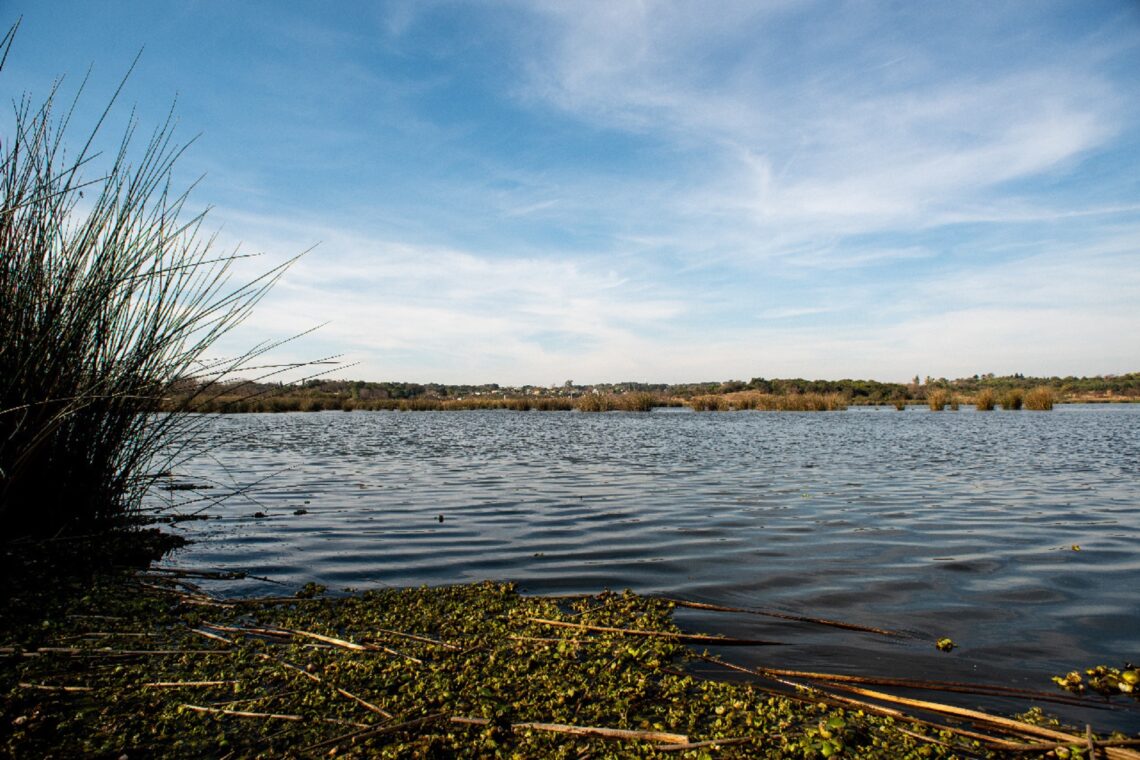 Inscripciones abiertas para la tercera cohorte sobre Ambiente y Desarrollo Sostenible