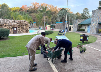 Continúan las tareas de paisajismo y parquización en Termas del Ayuí