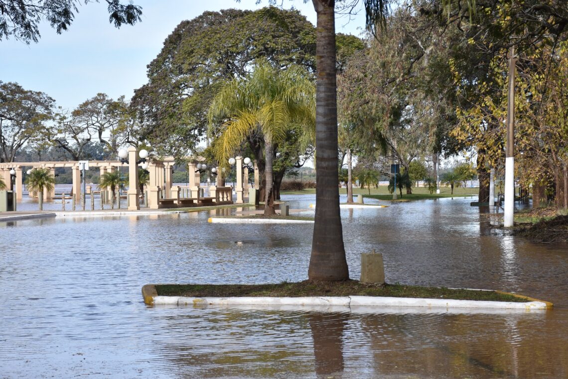 El río se ubica por debajo de los doce metros frente al puerto de Concordia