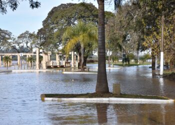 El río se ubica por debajo de los doce metros frente al puerto de Concordia