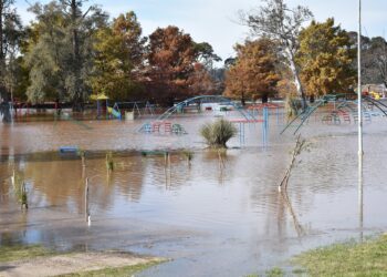 COMUNICADO DEL COMITÉ DE OPERACIONES DE EMERGENCIAS