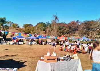 FERIA PASEO DEL RÍO EN PARQUE SAN CARLOS