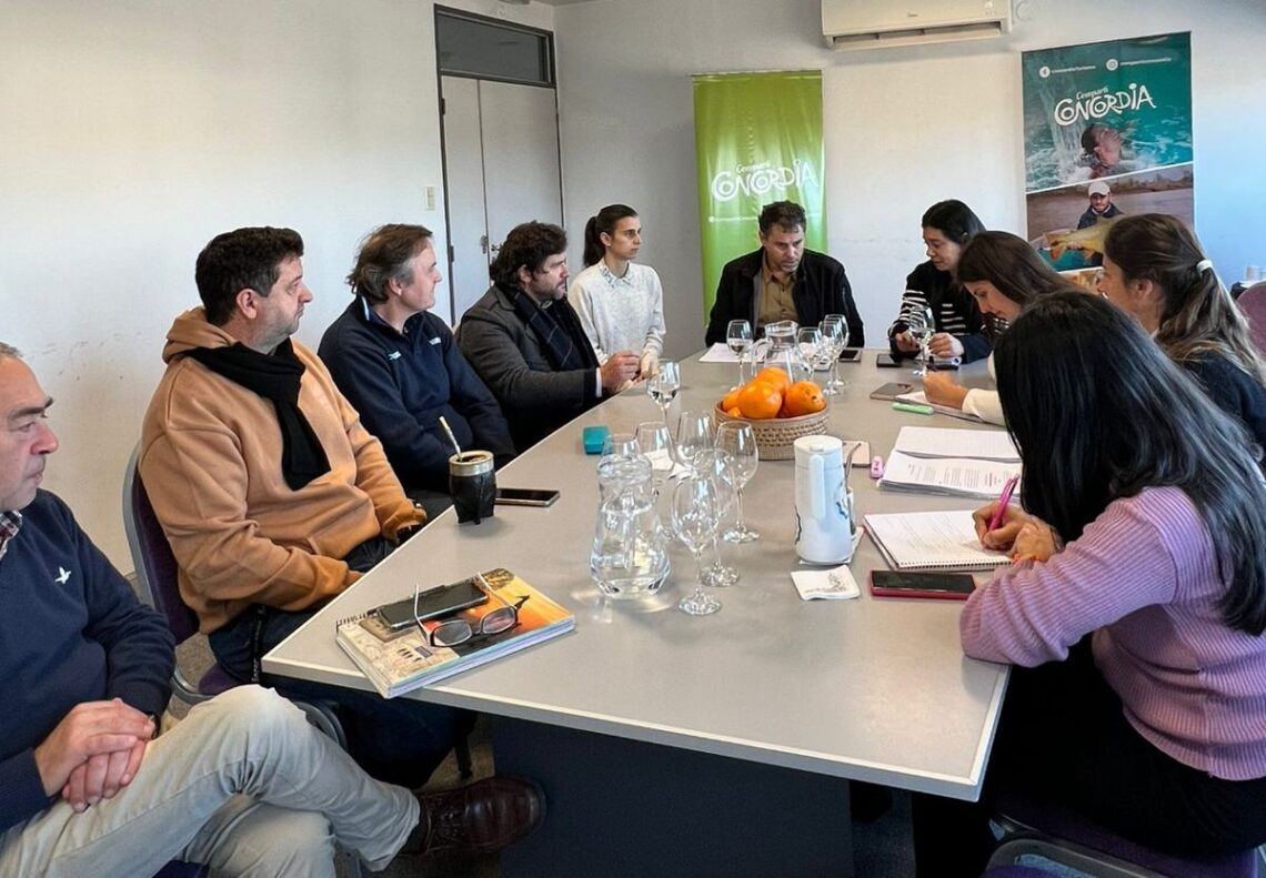 CONCORDIA AVANZA EN LA REGULACIÓN DE ALOJAMIENTOS TURÍSTICOS TEMPORARIOS