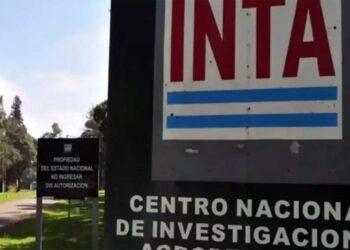 El INTA tiene más de 100 mil hectáreas y el gobierno nacional evalúa vender 47 mil