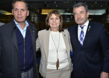 Entre Ríos estuvo presente en una nueva reunión del Consejo de Seguridad Interior