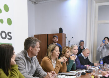 Avanza la modificación a la Ley de Emprendedurismo Joven para que más personas puedan acceder a los beneficios