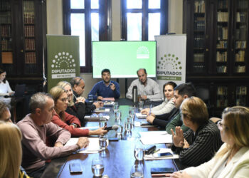 El proyecto de ley de sostenibilidad de la deuda pública provincial obtuvo dictamen de comisión