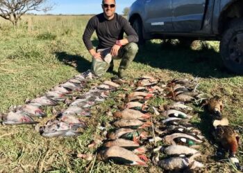 Lo que faltaba: el Gobierno de Frigerio promociona la caza de animales autóctonos y ofrece beneficios impositivos para que más cotos se instalen en entre ríos