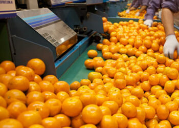 Nuevas oportunidades de entrenamiento laboral en el sector citrícola