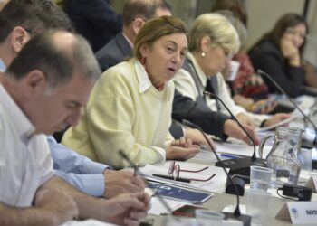 Entre Ríos participó del Consejo Federal de Educación, donde se aprobaron nuevos marcos para la Educación Técnica