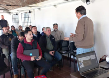 Con acciones concretas, Entre Ríos enfrenta la amenaza de un flagelo que acecha a las palmeras